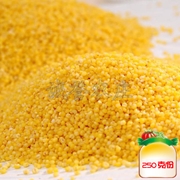 HG小米