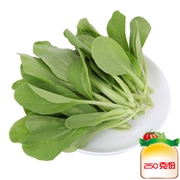 鸡毛菜