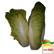 嫩白菜