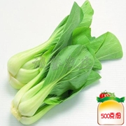 HG小油菜