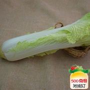 高帮白菜