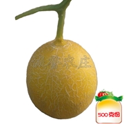 圣尼斯甜瓜