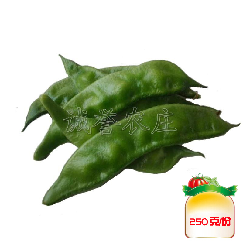 青油豆角
