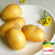 迷你土豆