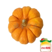 小黄南瓜