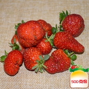 草莓（等外品）