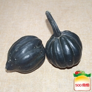 墨绿南瓜
