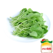 宝宝鸡毛菜
