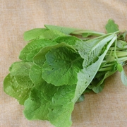 小白菜（等外品）
